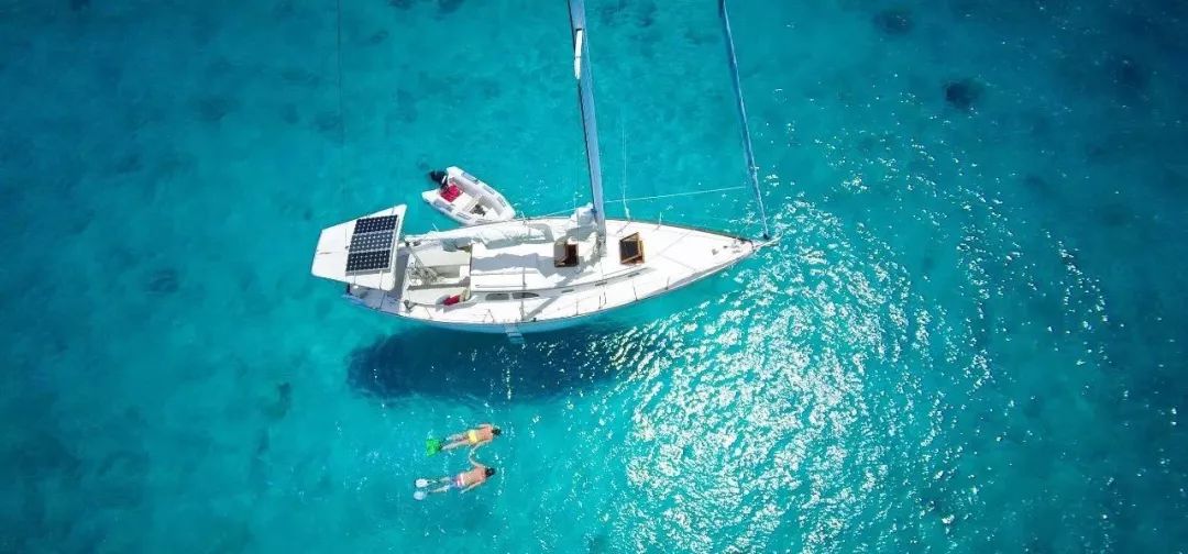 你永远不知道水下存在的危险,浮潜和潜水哪个更好