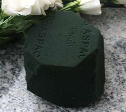 苔藓球植物养殖方法,苔藓球种植方法视频