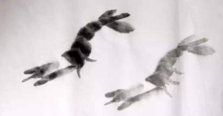 水墨大虾怎么画,水墨彩色大虾画