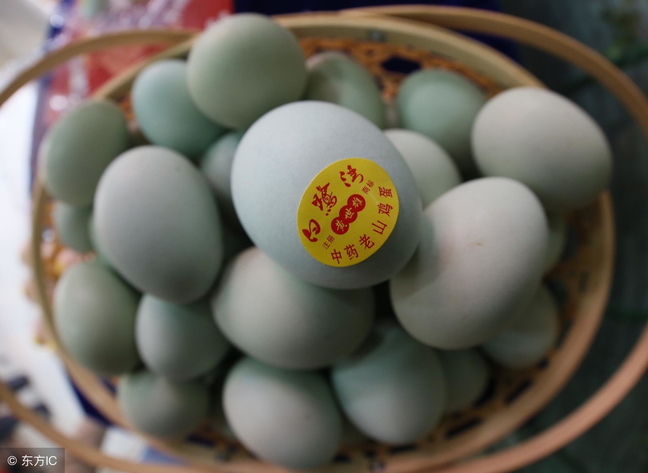 养什么特种养殖好养又赚钱,养殖什么动物省钱