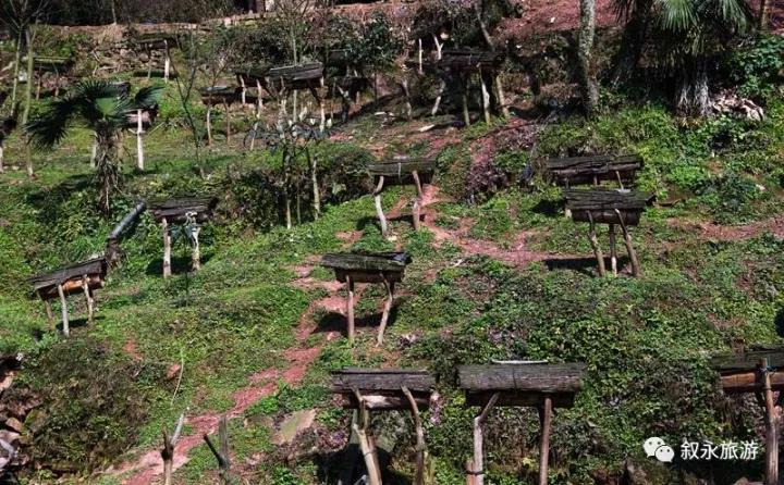 冰雹叙永白腊苗族乡,叙永白腊苗族乡后山