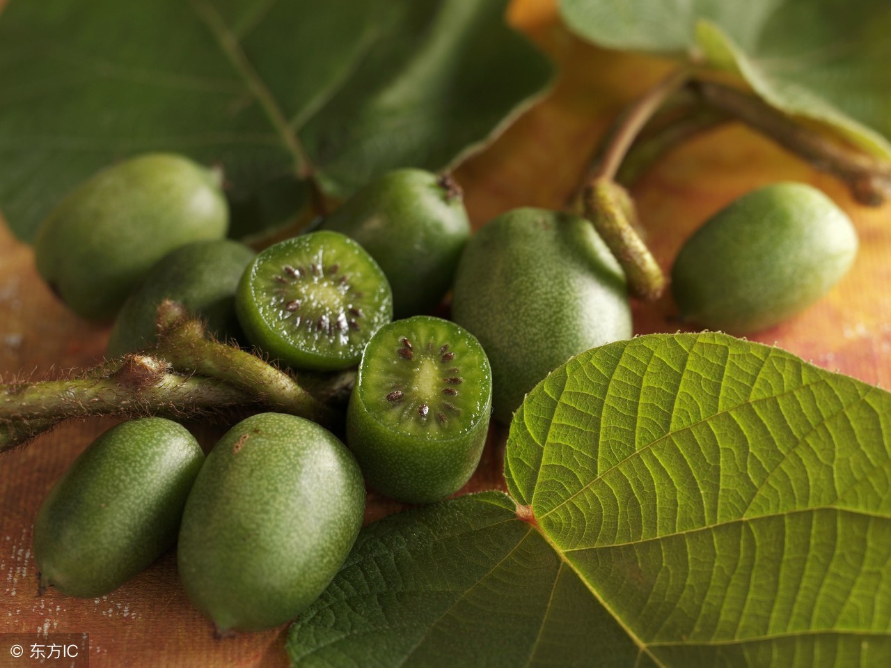 奇异莓是新品种吗,奇异莓产地