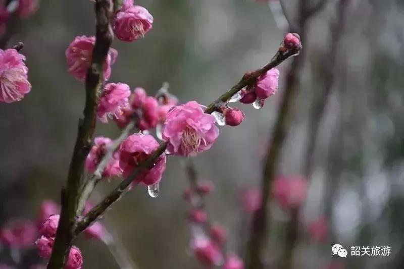 滚蛋吧，春困君！广东这些花花世界让你秒变龙马精神！