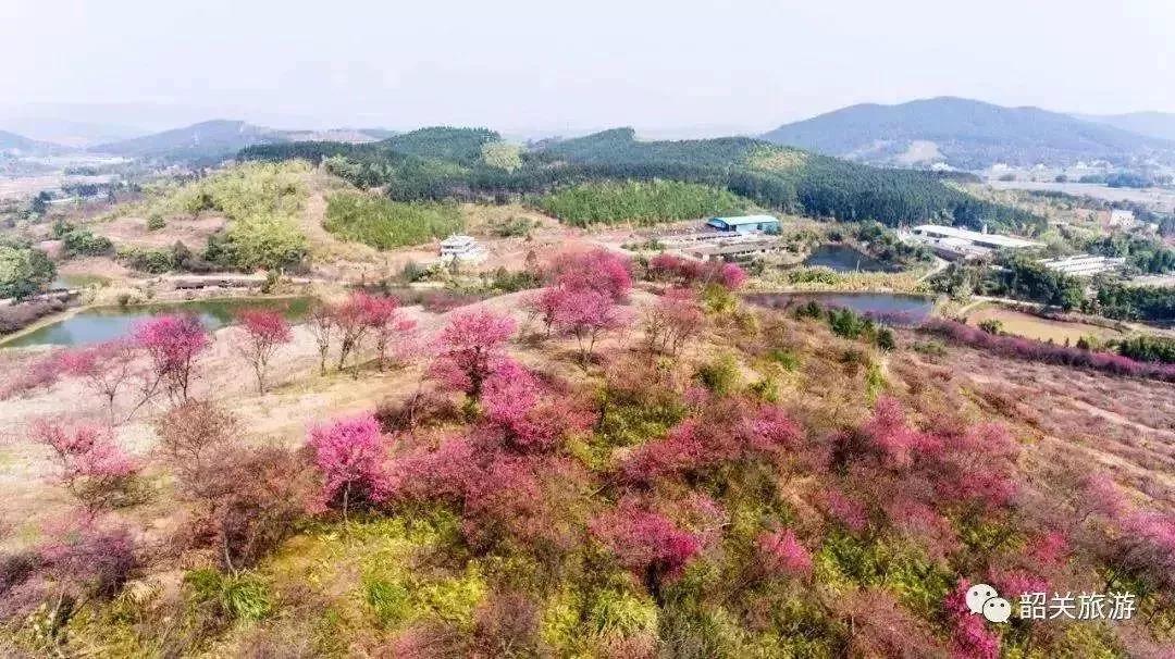 滚蛋吧，春困君！广东这些花花世界让你秒变龙马精神！