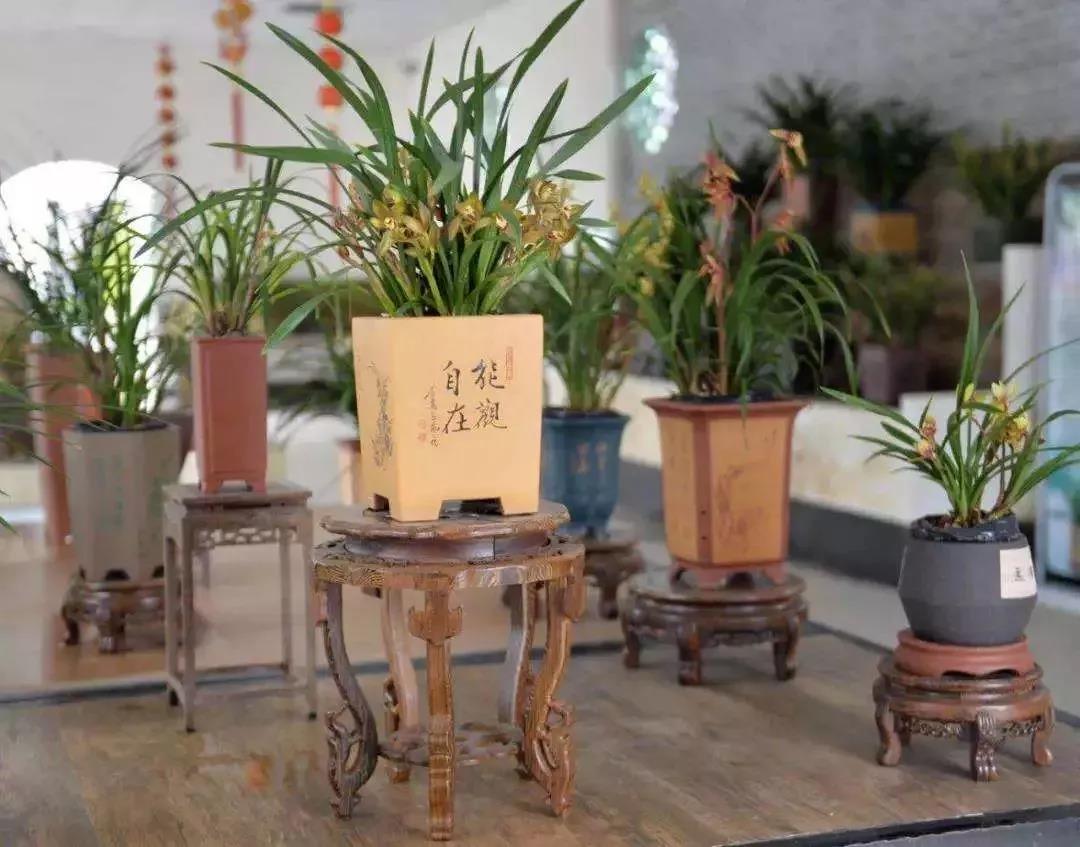 滚蛋吧，春困君！广东这些花花世界让你秒变龙马精神！