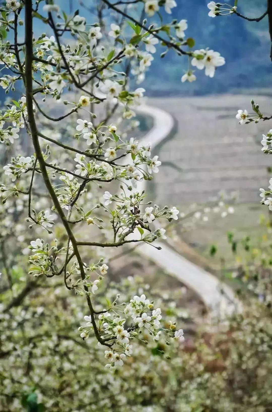 滚蛋吧，春困君！广东这些花花世界让你秒变龙马精神！
