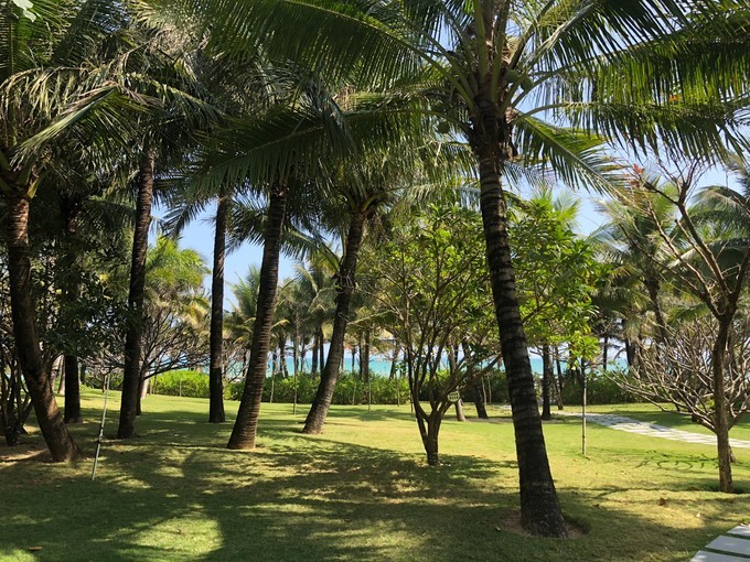 广州三亚双飞五日游,去三亚必吃餐厅