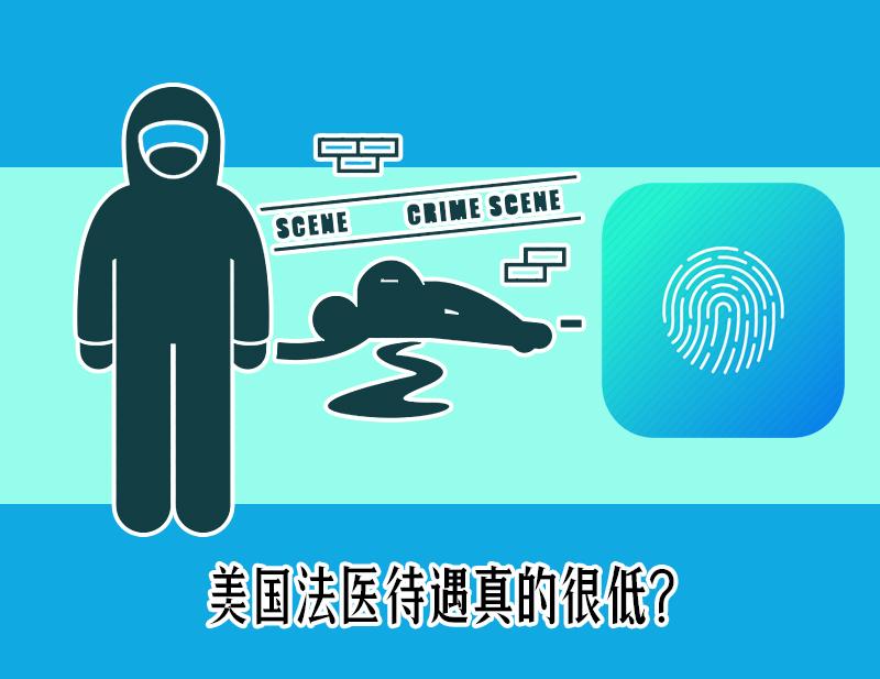 唐人街探案2为何评分低,唐人街探案清道夫什么职业