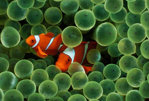 十二星座有多爱换头像,不开心就喜欢换头像的星座