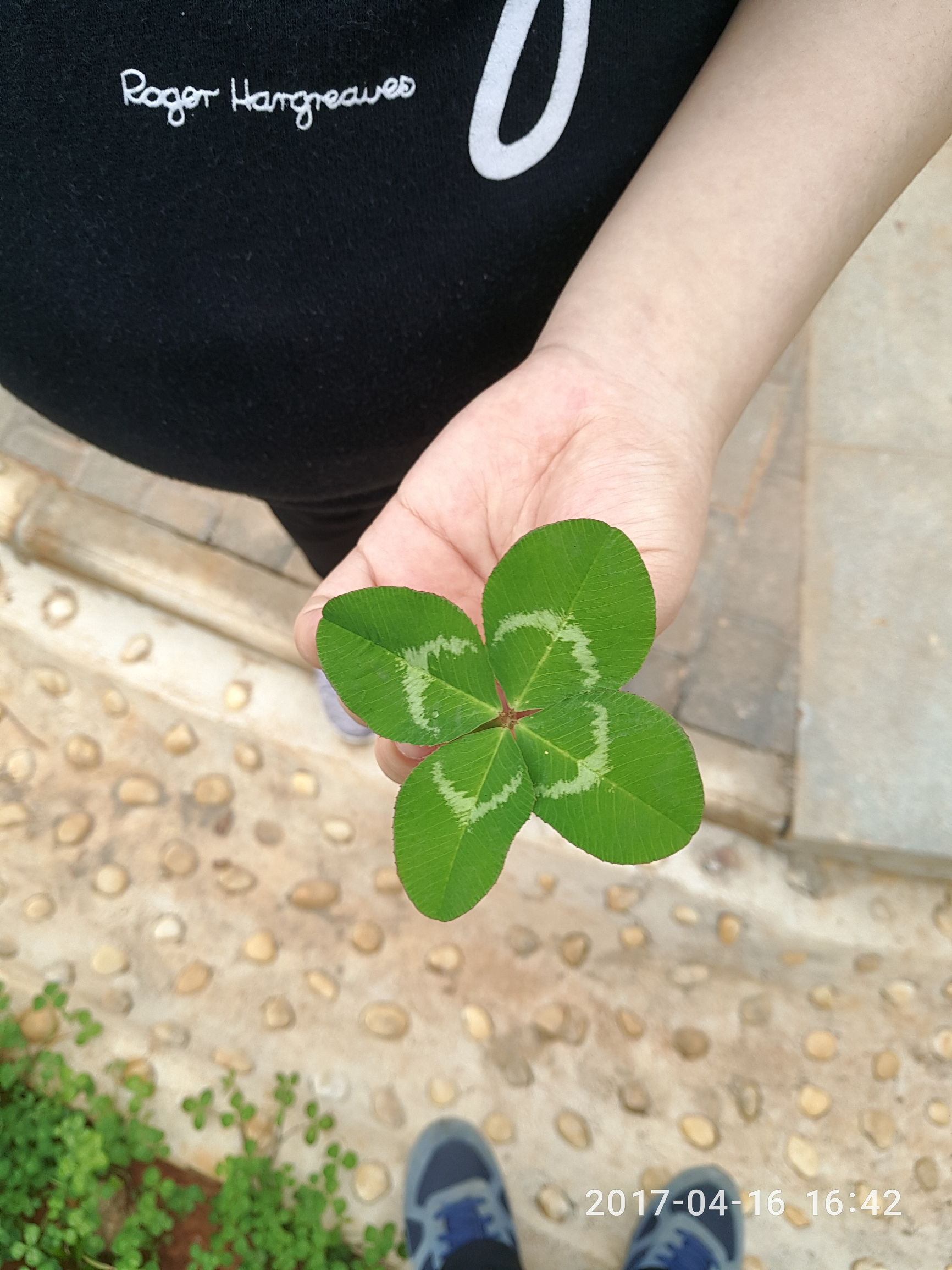 闵行区妇幼保健院生孩子费用,上海长宁妇幼保健院生孩子费用