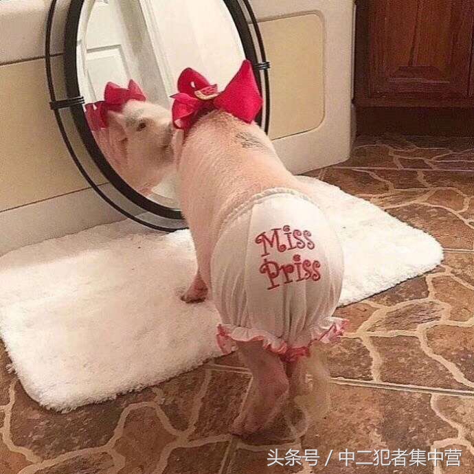 快递恢复正常了,快递恢复之后要买什么