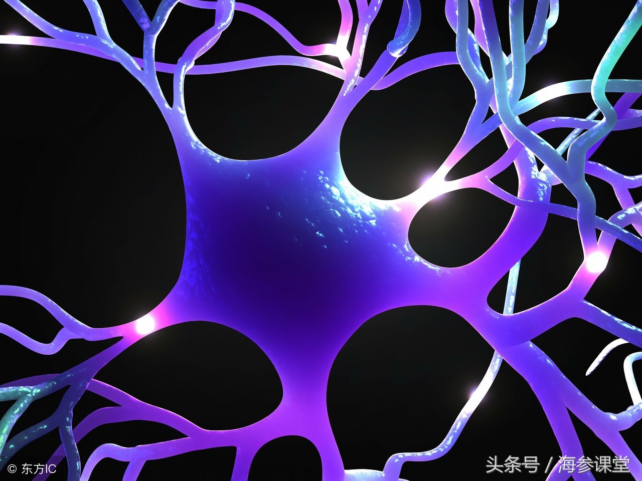 三高人群怎么吃海参,不爱吃海参的人怎么吃海参