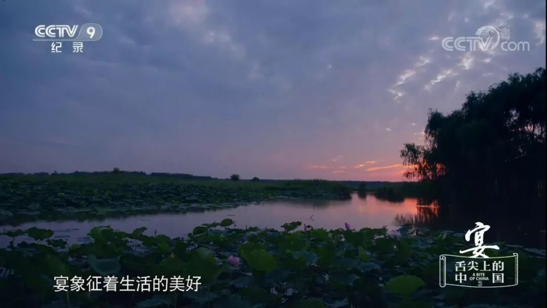 舌尖3摔面现状,舌尖3是怎么垮掉的