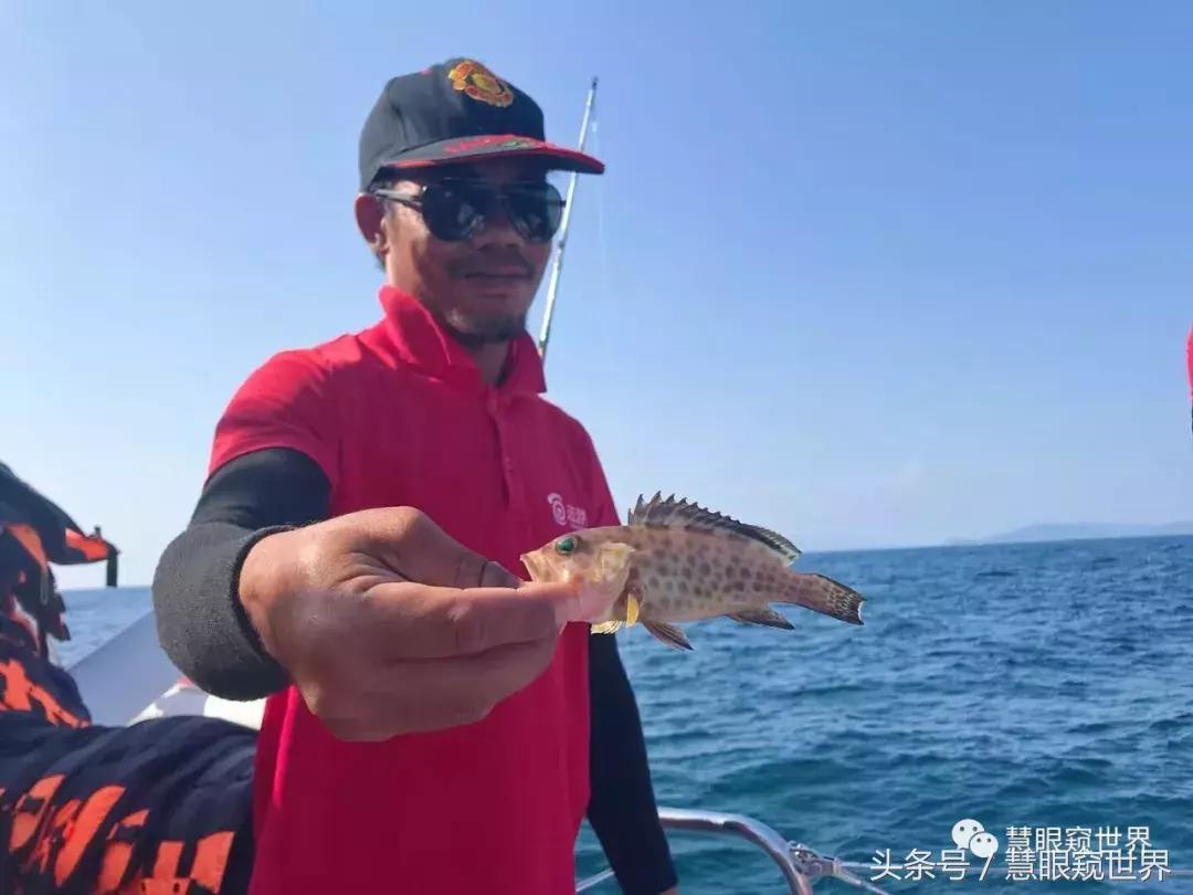 泰国斯米兰岛潜水,泰国斯米兰群岛潜水