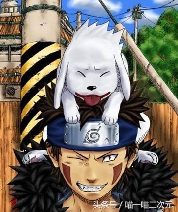 二次元出名的狗狗叫什么,二次元早期小奶狗