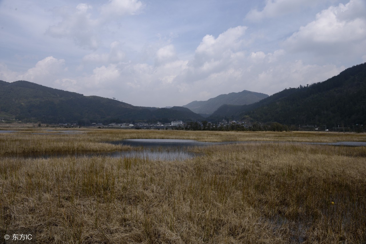 怀孕的村花被返城的对象甩了，她疯了，把刚刚出生的小男孩掐死了