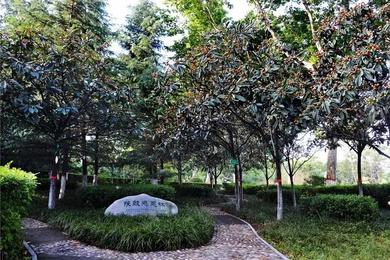 瑗垮畨骞存渶涓浗,瑗垮畨骞存渶涓浗鍐呭