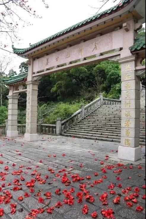 滚蛋吧，春困君！广东这些花花世界让你秒变龙马精神！