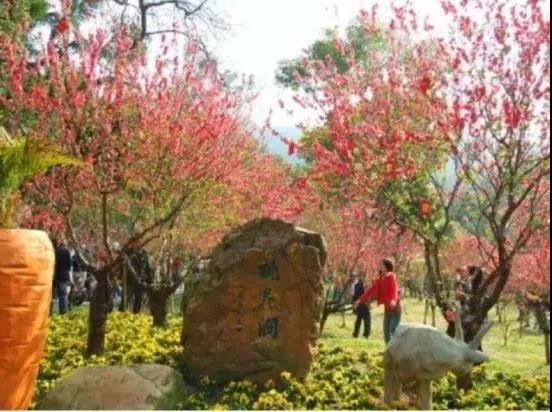 滚蛋吧，春困君！广东这些花花世界让你秒变龙马精神！