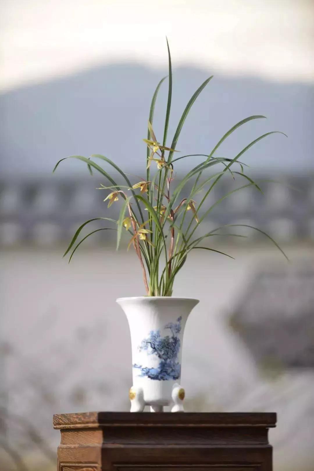 滚蛋吧，春困君！广东这些花花世界让你秒变龙马精神！