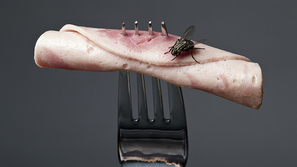 200多家单位吃罚单!家乐福、世纪联华、易初莲花等售过期食品,哥老官餐具不消毒