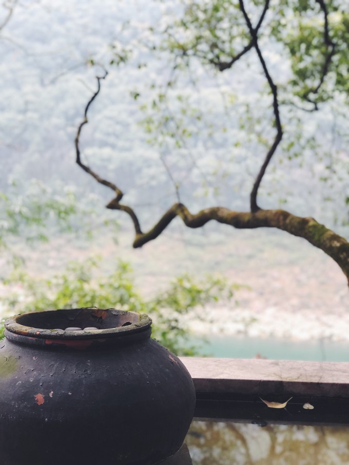 广州三亚双飞五日游,去三亚必吃餐厅