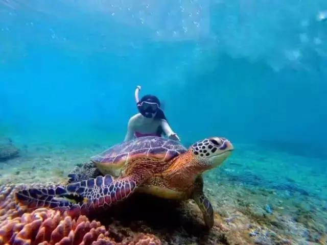 帕劳旅游攻略旅游视频,帕劳旅游攻略2018