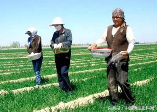 春耕化肥是骗人的吗,假化肥骗农民