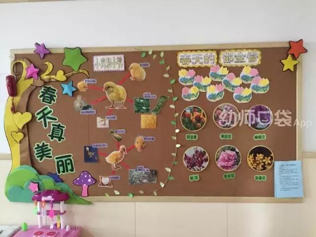 幼儿园班级主题墙布置简单大方,小学新学期新气象主题墙