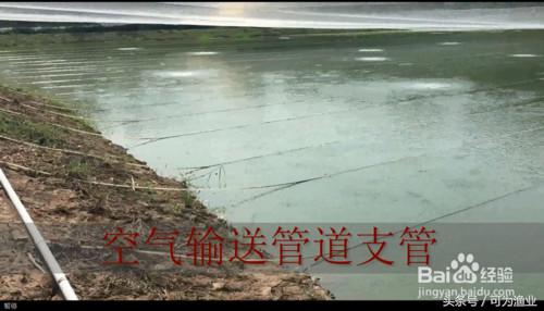 泥鳅池塘增氧设备,泥鳅养殖氧气机怎么用