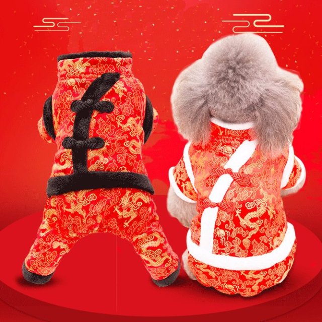 家里的主子太高冷?试试送这些礼物给它呀~