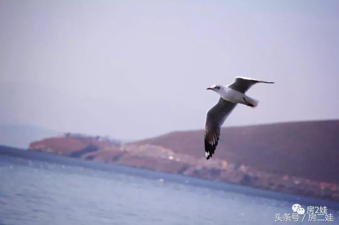 去了趟大理双廊亲自见识了杨丽萍的最美“豪宅”