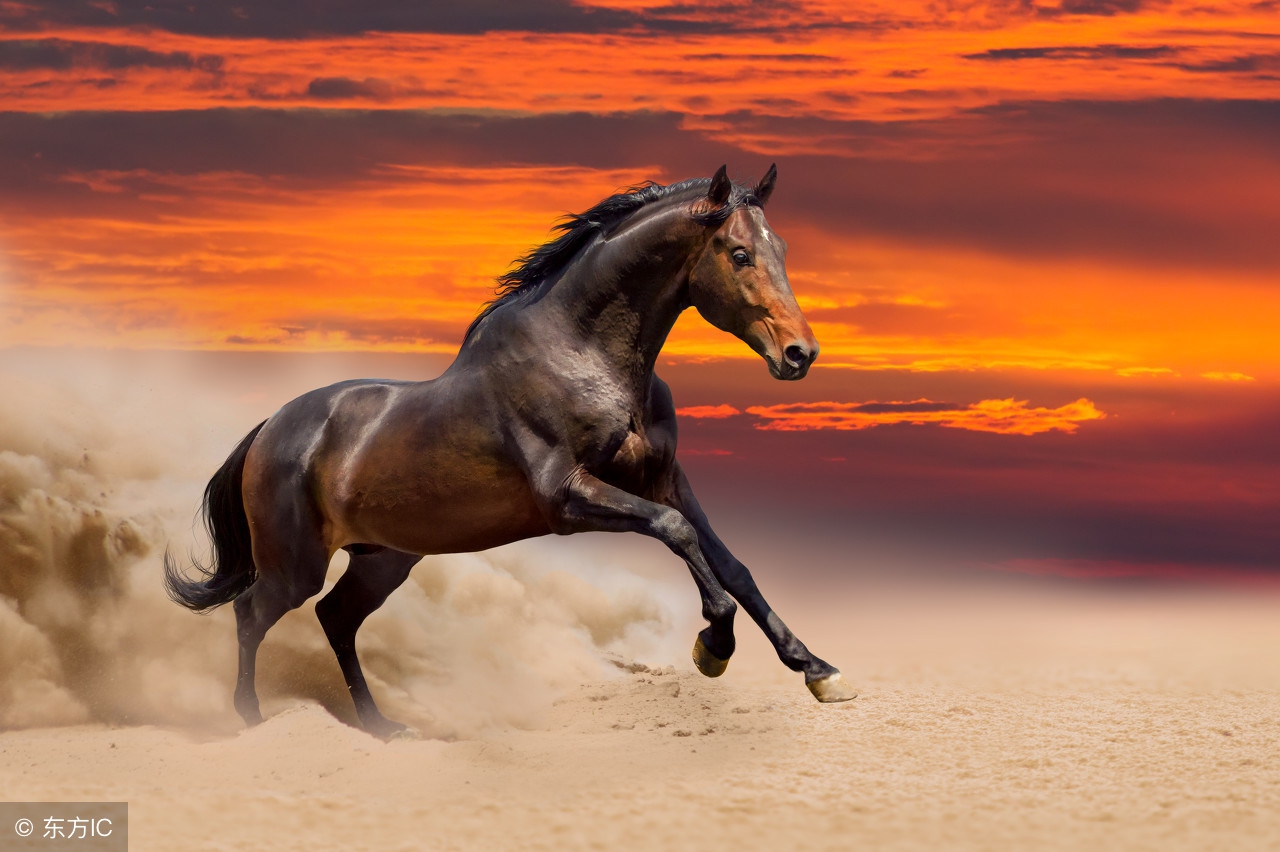 高手绝技,高手选股秘籍