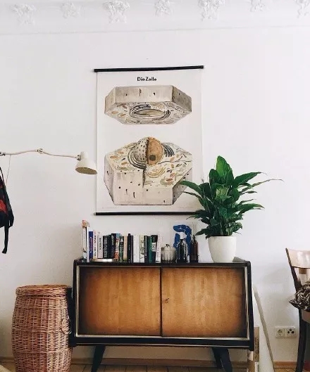 跟着“盐系”人设一起火了的，还有盐系家居