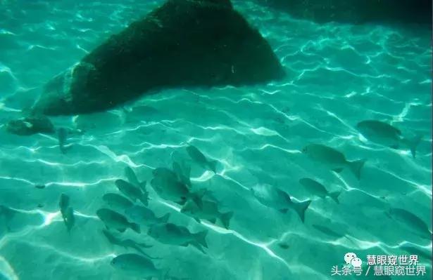 泰国斯米兰岛潜水,泰国斯米兰群岛潜水