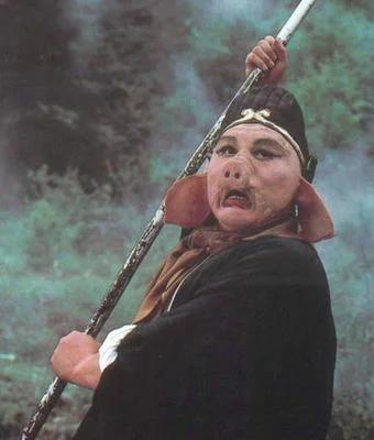 真正猪八戒的老婆是谁,猪八戒娶的哪个妖精