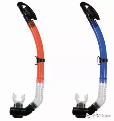 你永远不知道水下存在的危险,浮潜和潜水哪个更好