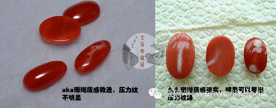 红珊瑚介绍方法,红珊瑚识别方法