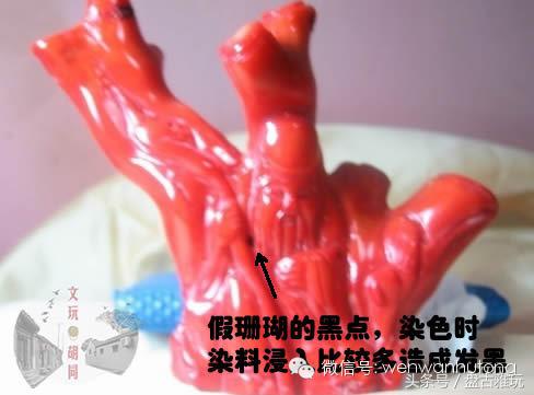 红珊瑚介绍方法,红珊瑚识别方法