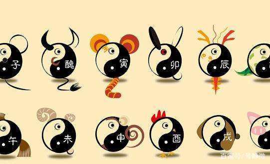 传统文化十二生肖视频,中华传统文化十二生肖图片