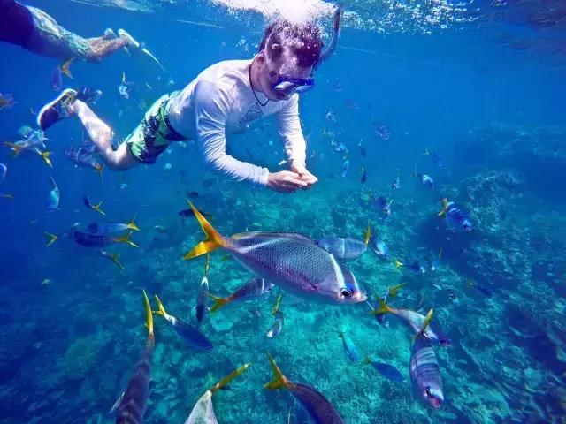 帕劳旅游攻略旅游视频,帕劳旅游攻略2018