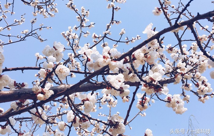 三千也无敌！这几款性价比极高的笔计本值得收藏！