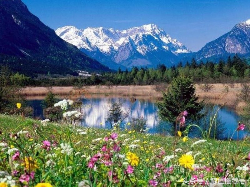 云南5a景区地图一览表,云南5a景区名单最新