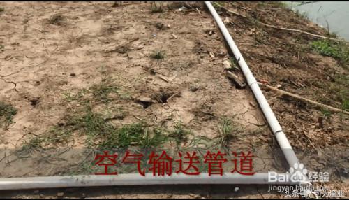 泥鳅池塘增氧设备,泥鳅养殖氧气机怎么用