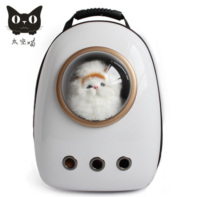 家里的主子太高冷?试试送这些礼物给它呀~