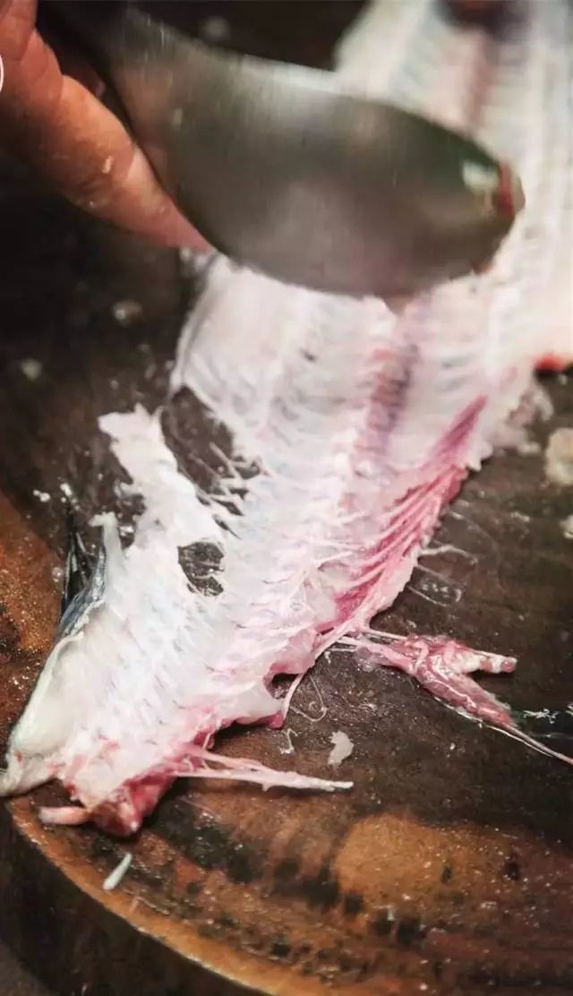 舌尖上的福建鱼丸,舌尖上的美食多少钱一箱