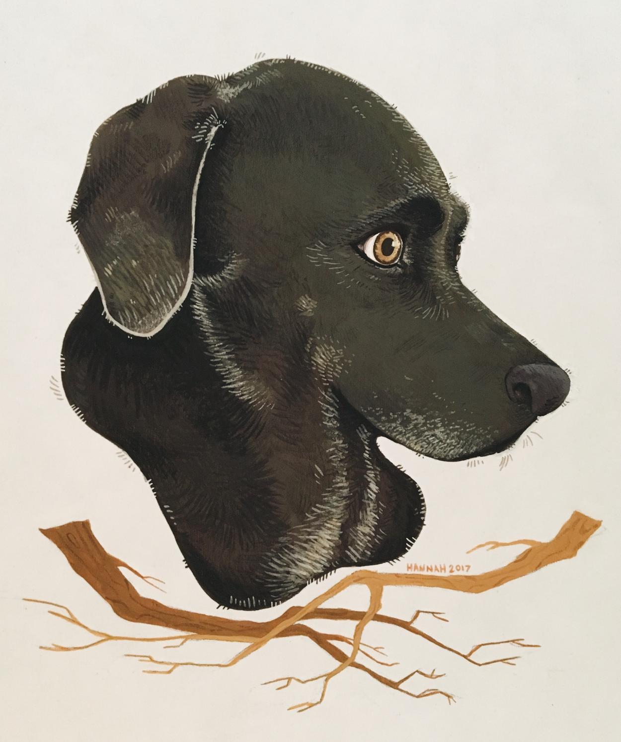 韩国插画师negrim的插画作品,插画师hana美食插画