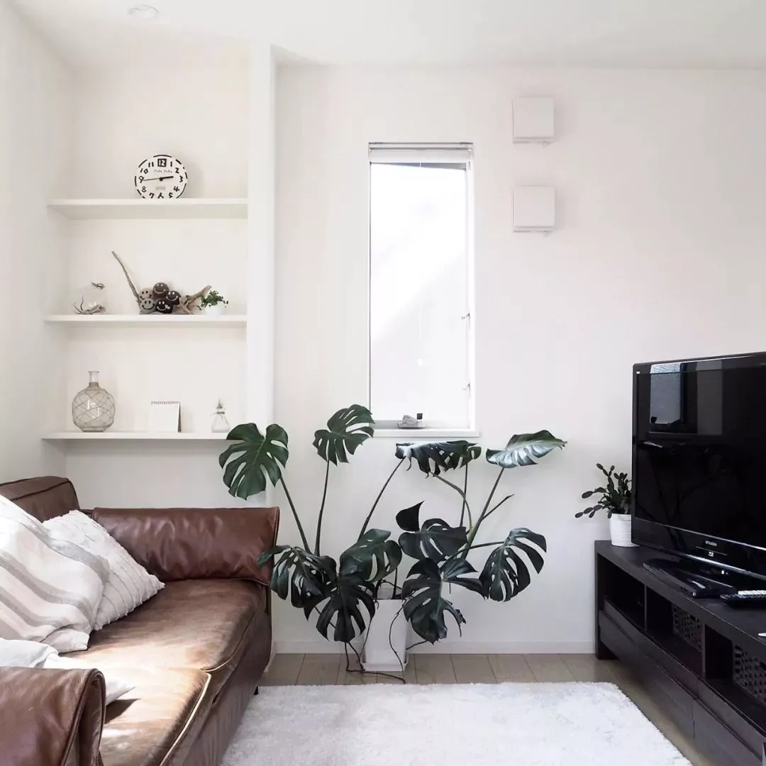 跟着“盐系”人设一起火了的，还有盐系家居