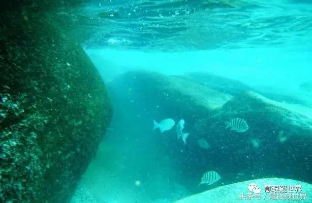 泰国斯米兰岛潜水,泰国斯米兰群岛潜水