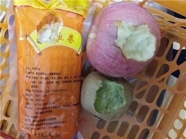 那些被老鼠耍得团团转的猫咪,两只傻猫被老鼠玩的团团转